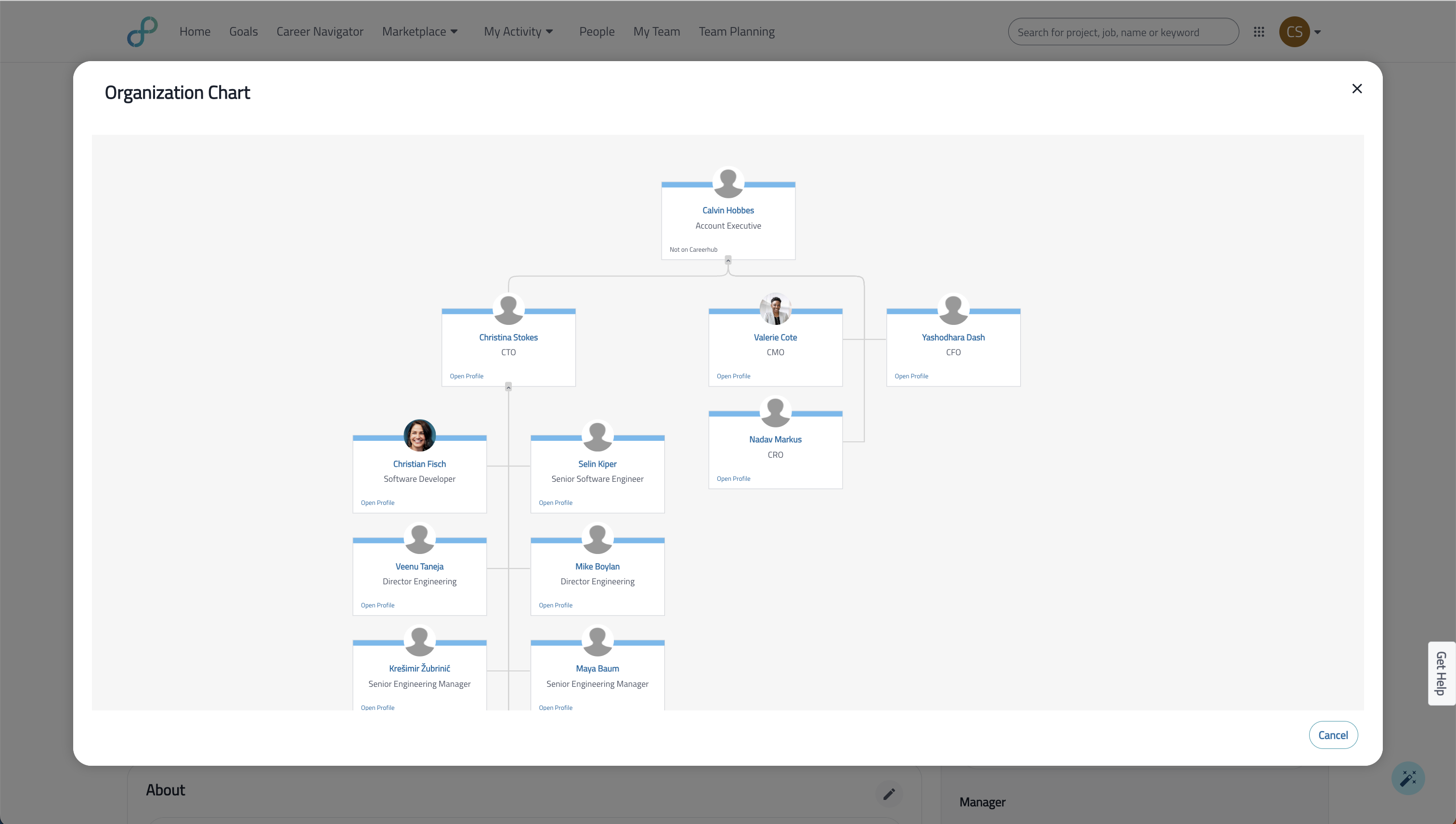 Before: org chart as a small popup modal